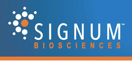 Signum's Anti-Acne Active SIG1459 Tested By PCR
